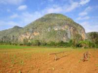 Tobacco Farm07.jpg